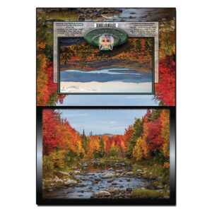 3062 - Note Card - Autumn River