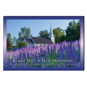 9026 - Postcard - Lupine Church