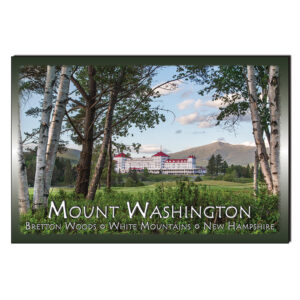 9043 - Postcard - Mount Washington Birches
