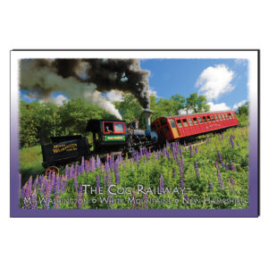 9052 - Postcard - Waumbek Lupine