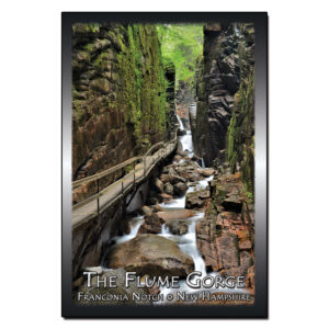 9067 - Postcard - The Flume Gorge