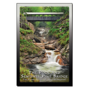 9068 - Postcard - The Pool