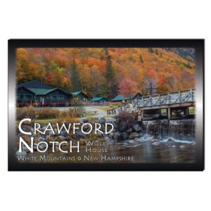 9071 - Postcard - Willey House