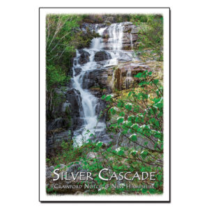 9076 - Postcard - Silver Cascade