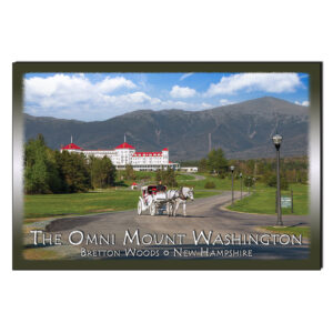 9077 - Postcard - Omni Horse & Buggy