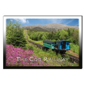 9090 - Postcard - Springtime Cog