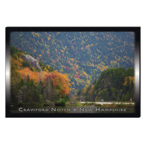 9094 - Postcard - Elephant Head