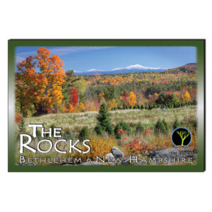 9216 - Postcard - Rocks Autumn View