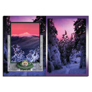 1003 - Note Card - Avalon Sunset