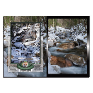 1014 - Note Card - Falling Waters Winter