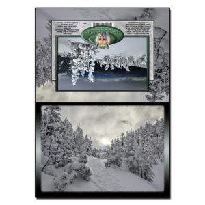 1016 - Note Card - Winter Ammonoosuc Ravine Trail