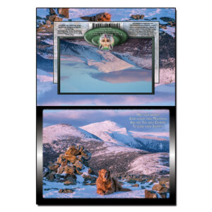 1018 - Note Card - Golden Winter Pierce