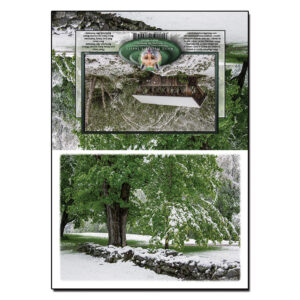 1020 - Note Card - Late Spring Snowfall