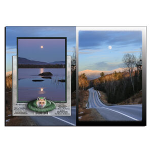 1024 - Note Card - Road to Paradise