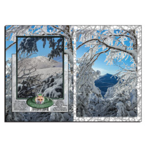 1027 - Note Card - Through the Trees