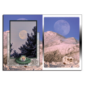 1033 - Note Card - Winter Moon