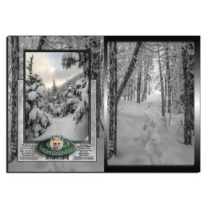1035 - Note Card - Snowy Path