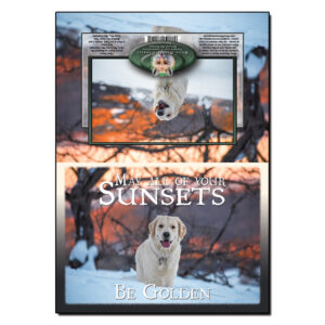 1043 - Note Card - May Your Sunsets Be Golden