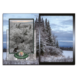 1044 - Note Card - Winter Moon Cherry Pond