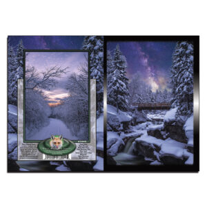 1045 - Note Card - Upper Falls Milky Way