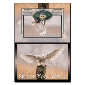1050 - Note Card - Snowy Owl