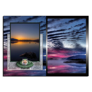 2010 - Note Card - Cherry Pond Sunrise