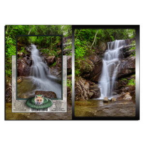 2013 - Note Card - Davis Brook Falls