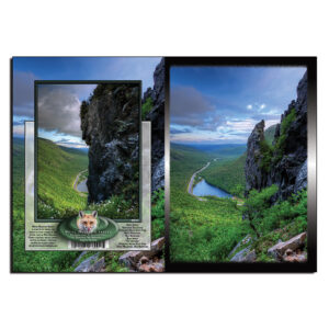 2015 - Note Card - The Eaglet