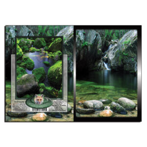 2016 - Note Card - Emerald Pool