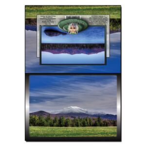 2025 - Note Card - Lafayette Spring