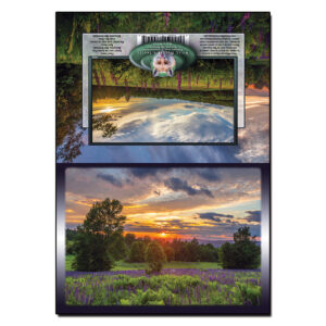 2036 - Note Card - Lupine Sunset