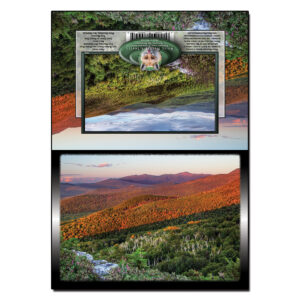 2040 - Note Card - Nubble September Light