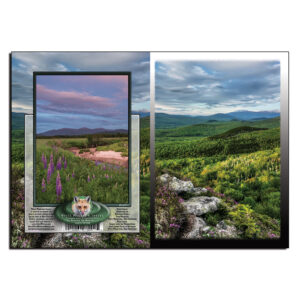 2041 - Note Card - Nubble Peak Spring