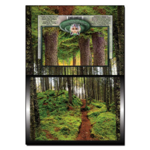 2043 - Note Card - Pittsburg Fairytale Forest