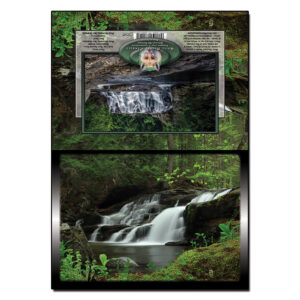 2045 - Note Card - Rose Garland Falls