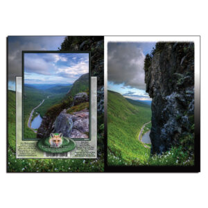 2047 - Note Card - The Watcher