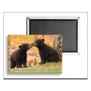 7810 - Kissing Bears Magnet