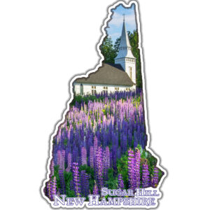12103 - Sugar Hill Lupine Church - 4" Vinyl Die-cut Sticker