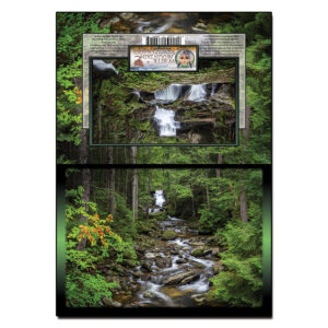 2104 - Note Card - Cold Brook Fall