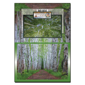 2105 - Note Card - Spring Birch Path