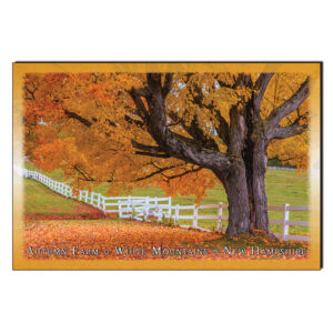9226 - Postcard - Autumn Farms