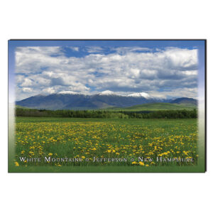 9227 - Postcard - Spring Jefferson Meadows