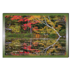 9229 - Postcard - Reflections of the Fall