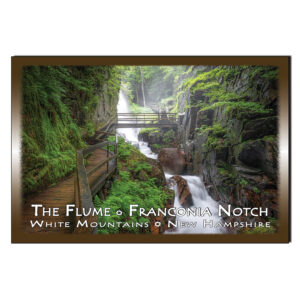 9245 - Postcard - The Flume Gorge