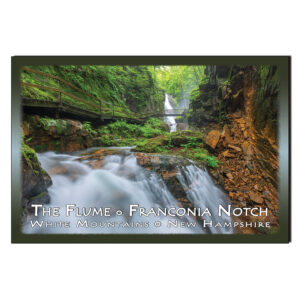 9246 - Postcard - The Flume Gorge