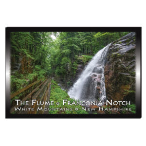 9248 - Postcard - Avalanche Falls Summer