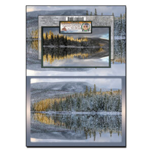 1053 - Note Card - Winter Reflections