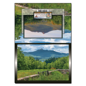 2107 - Note Card - Chocorua Summer