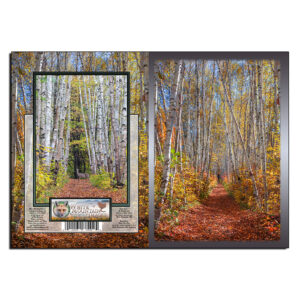 3066 - Note Card - Autumn Birch Path