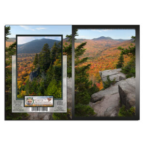 3067 - Note Card - Autumn North Sugarloaf